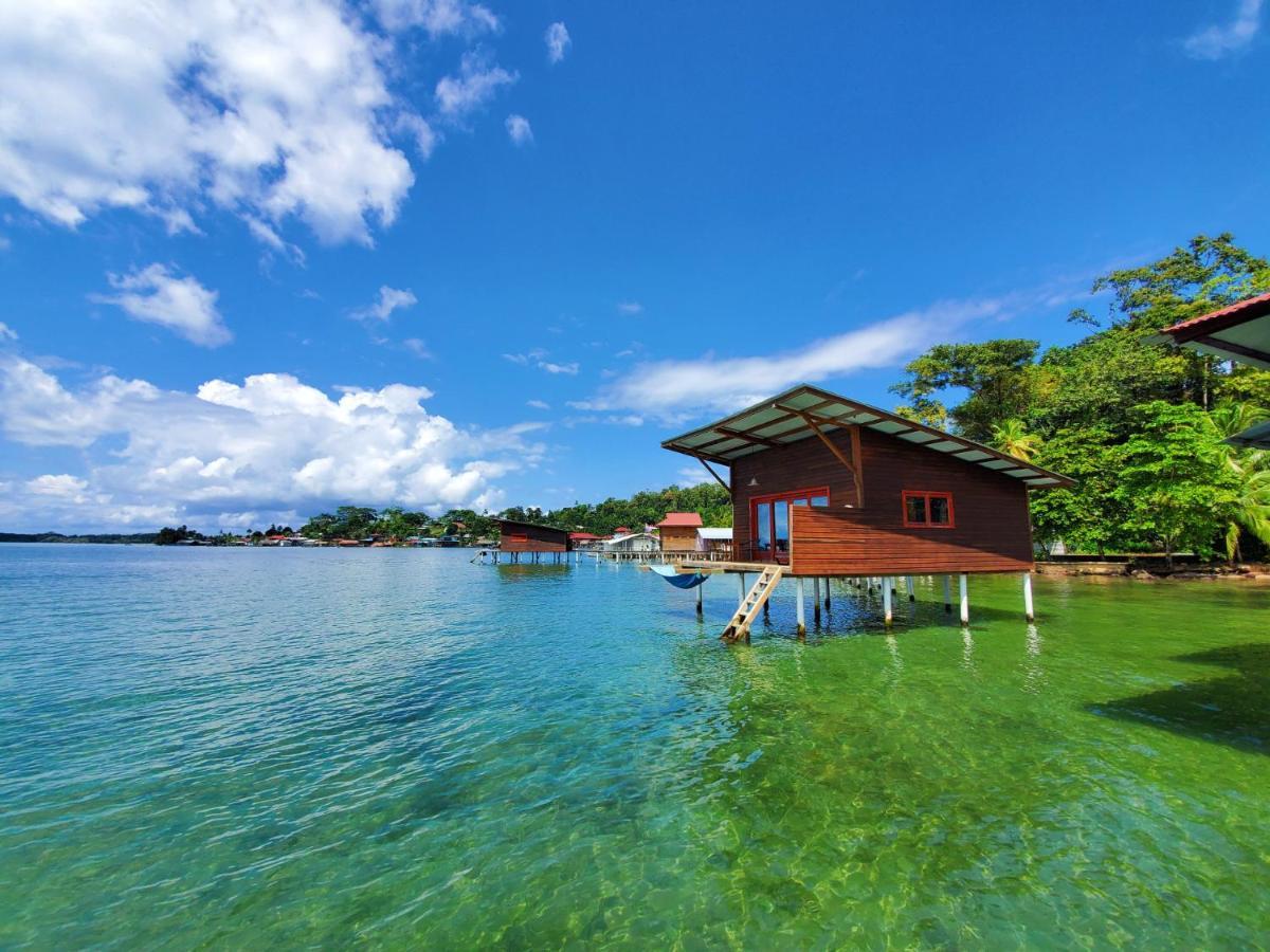 The Sea Monkey Hotel Bocas Town Bagian luar foto