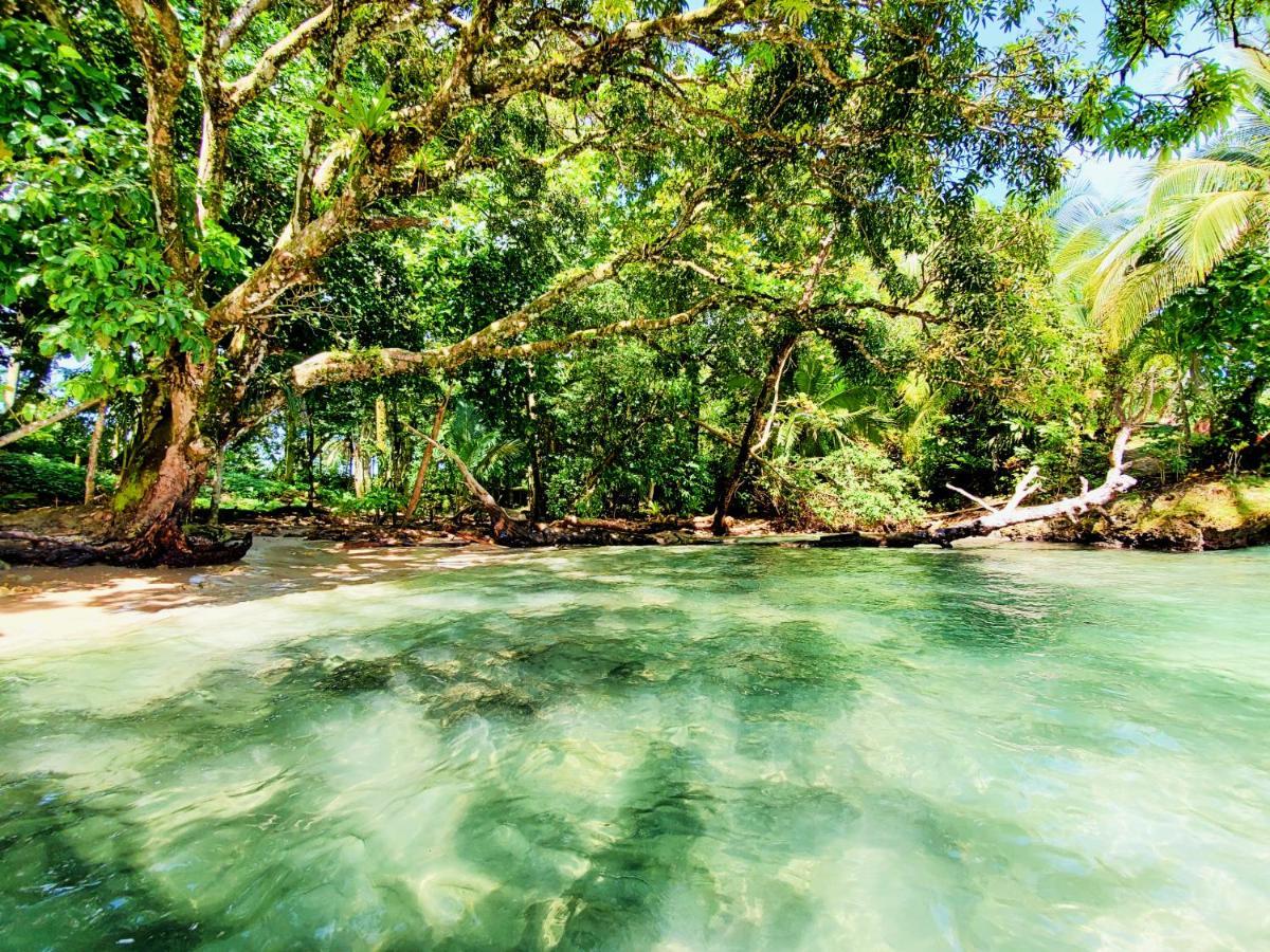 The Sea Monkey Hotel Bocas Town Bagian luar foto