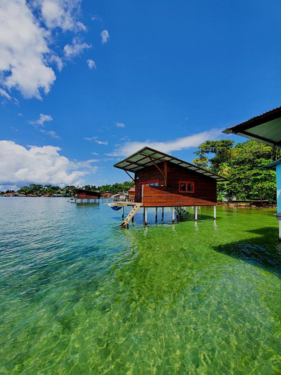 The Sea Monkey Hotel Bocas Town Bagian luar foto