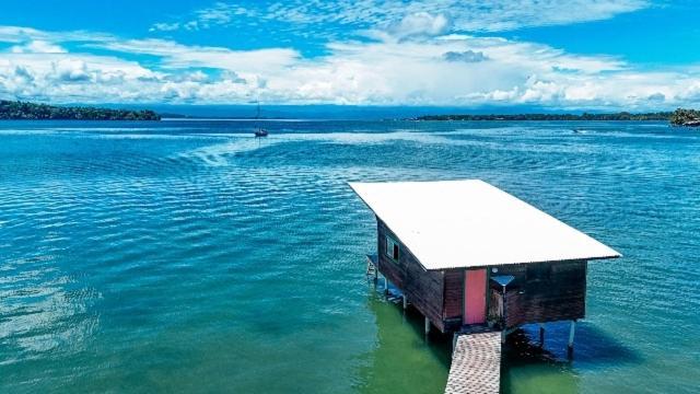 The Sea Monkey Hotel Bocas Town Bagian luar foto