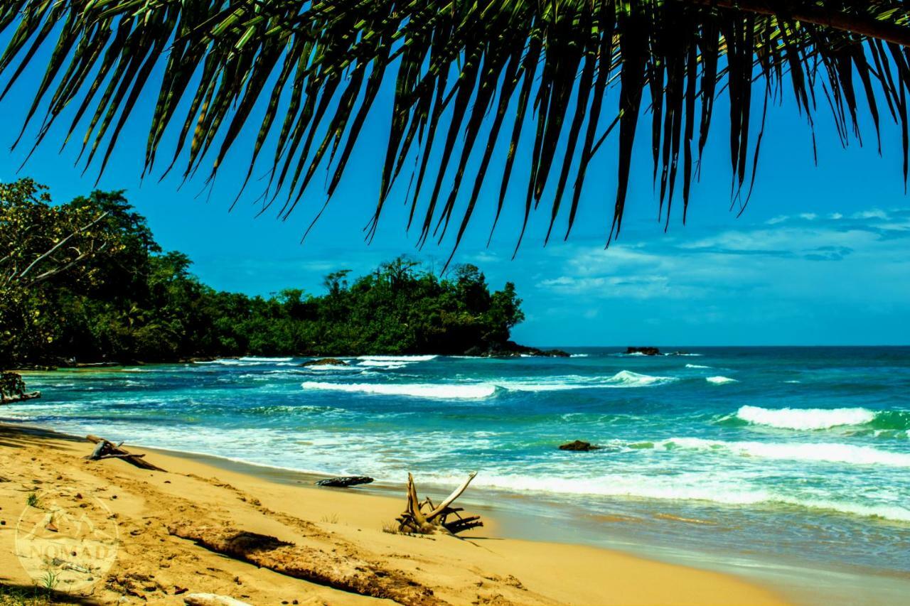 The Sea Monkey Hotel Bocas Town Bagian luar foto